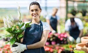 Nursery Workers Occupational Health